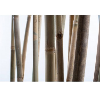 Biombo separador ambientes cañas bambú natural