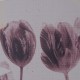 Cuadro lienzo tulipán violeta L100