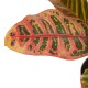 Planta artificial con maceta Croton verde y roja