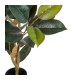 Planta artificial con maceta Ficus verde oscuro
