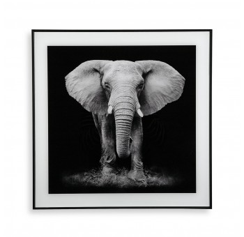 Cuadro cuadrado Elefante blanco y negro