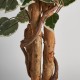 Planta con maceta Ficus A180