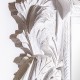 Espejo Luxo madera de teka blanco