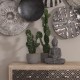 Planta con maceta cactus artificial A60