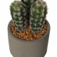 Planta artificial con maceta cactus artificiales surtidos