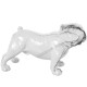 Figura perro Bulldog blanco detalle gris