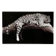 Cuadro cristal Leopardo sobre tronco 70x110