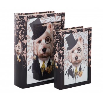 Caja libro espejo perro con sombrero