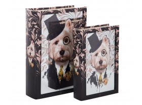 Caja libro espejo perro con sombrero