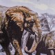 Cuadro lienzo animales Africa pintado al óleo
