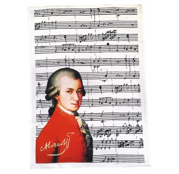 Funda estuche gafas con paño Mozart