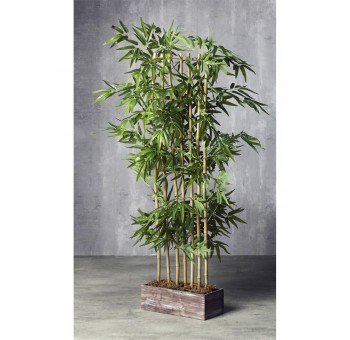 Separador con maceta planta Bambú A155
