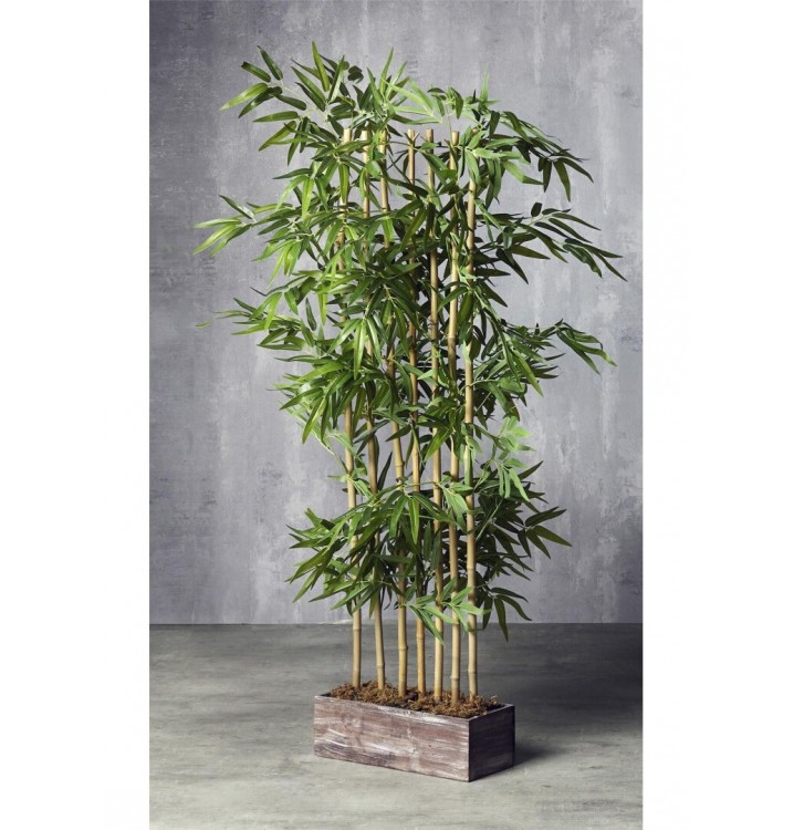 Separador con maceta planta Bambú A155