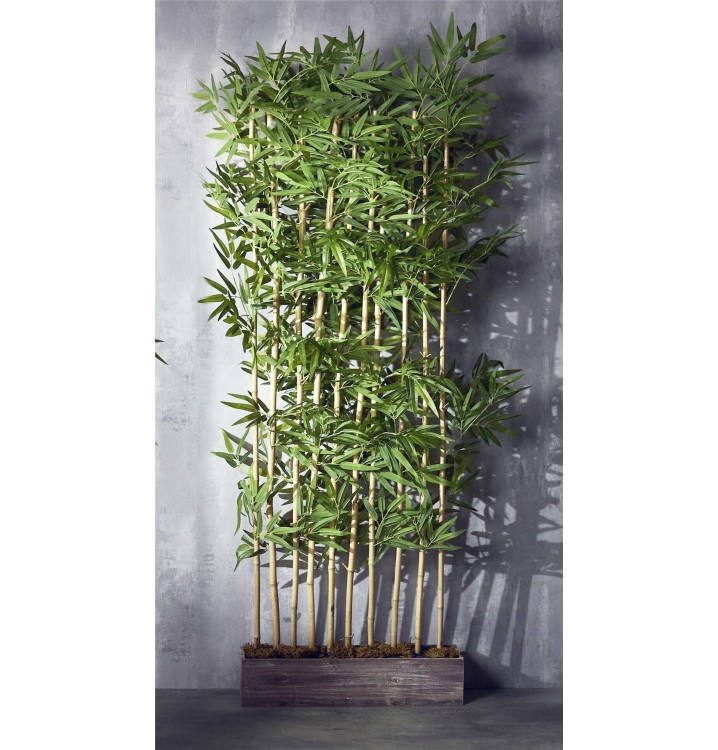 Separador con maceta planta Bambú A185
