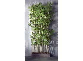 Separador con maceta planta Bambú A185