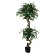 Planta artificial con maceta Ficus Benjamin A155