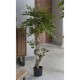 Planta artificial con maceta Ficus Benjamin A120