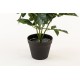 Planta artificial con maceta Bonsai Marigold A60