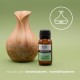 Esencia Raíz Angélica para humificador aromas ultrasónico aromaterapia