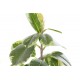 Planta con maceta Kebir artificial 20x15x35