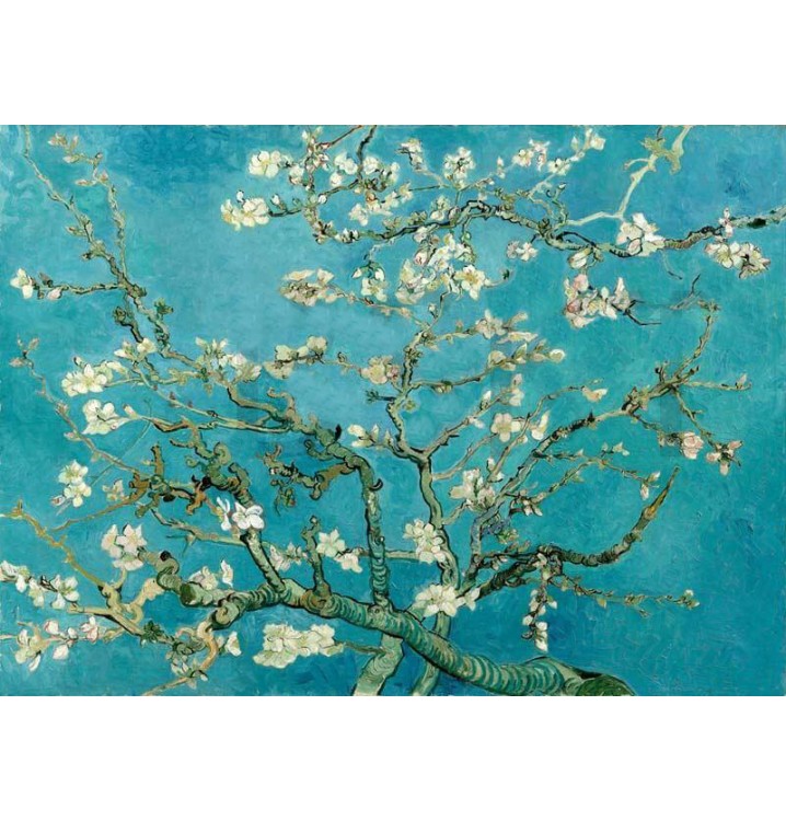 Cuadro lienzo El Almendro Van Gogh 110x80
