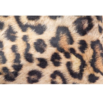 Cojin Velvet Leopardo 45x13x45 Cm