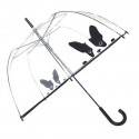 Paraguas transparente adulto diseño perro